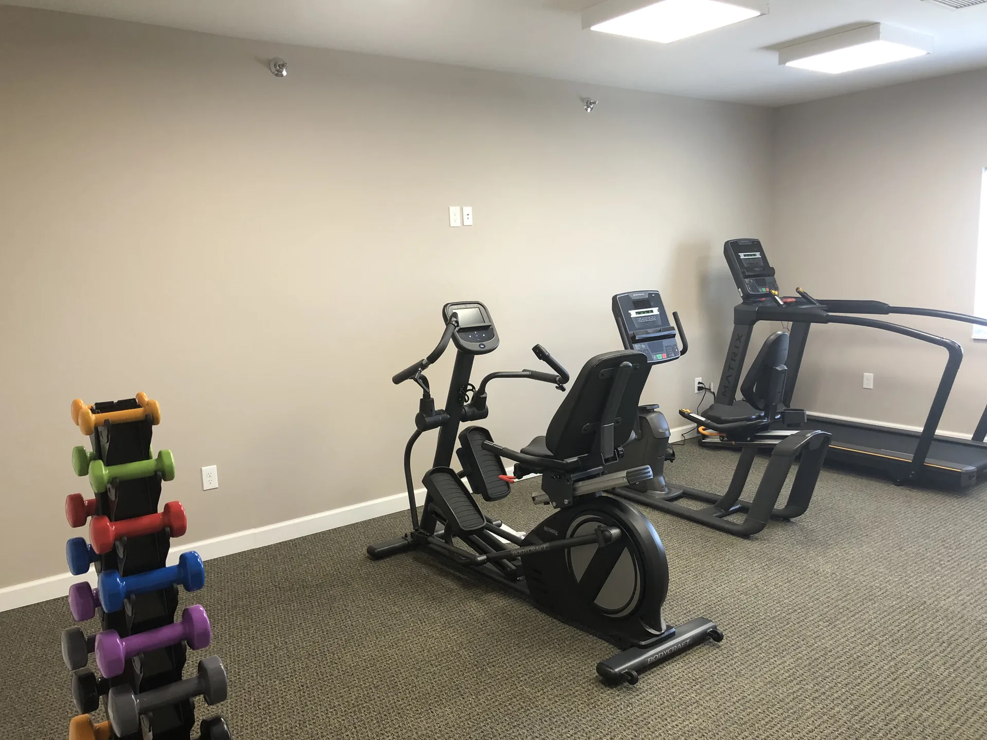 Gym equipment for cardio and strength training in a professional workout space.